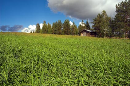 http://www.rovaniemi.fi/loader.aspx?id=EEF81B14-7677-4F90-95E3-E34E7E3D3974